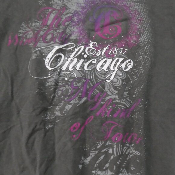 TULTEX | large | Graphic Chicago Short Sleeve Cotton T-Shirt | EUC - Picture 2 of 13